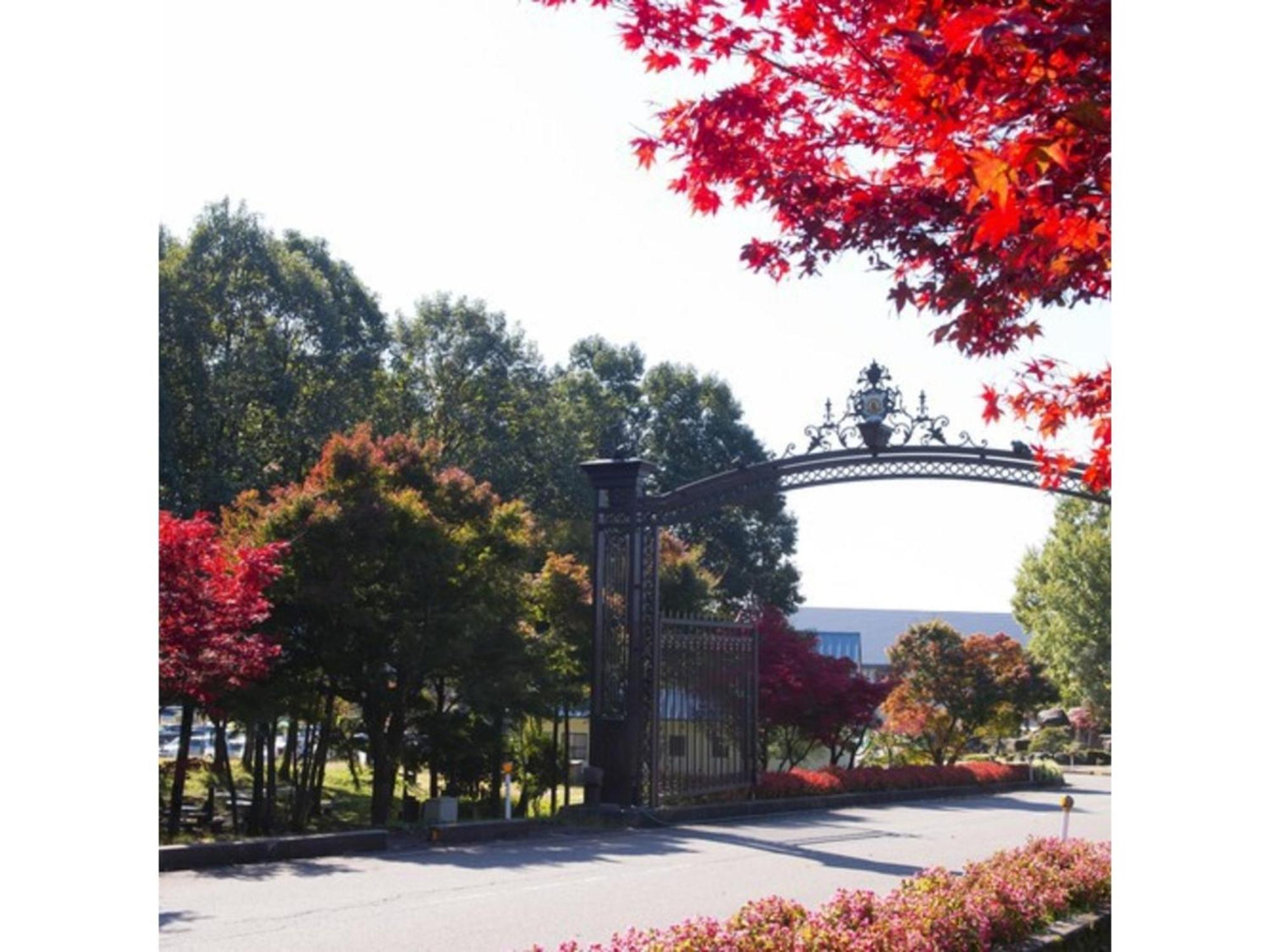 Shintainai Onsen Royal Tainai Park Hotel - Vacation Stay 90212V Экстерьер фото